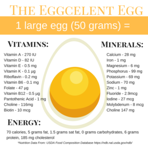 The Eggcelent Egg