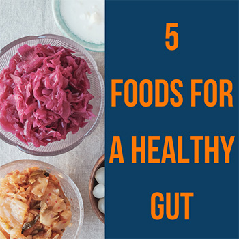 main-article-5foodsforahealthygut